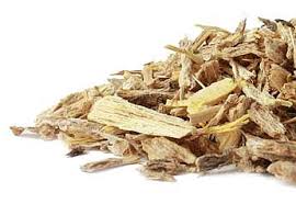 Attēlu rezultāti vaicājumam “Angelica archangelica fruit”