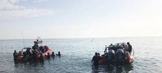 Image result for Guildford British Sub Aqua Club