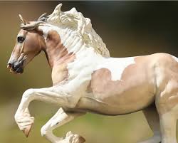 Image result for White Horse Model Club