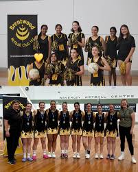 Image result for BRENTWOOD NETBALL CLUB