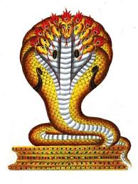 Kuvahaun tulos haulle nagas