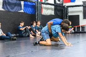 Image result for Valiant Gymnastics Club