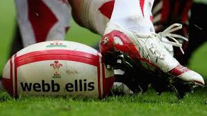 Image result for The Rhyl and District Rugby Union Football Club