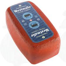 Image result for trappista