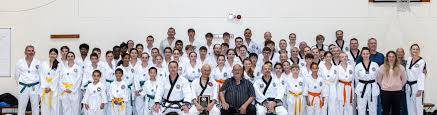 Image result for Crown Tae Kwon Do