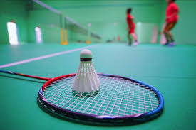 Image result for Appledore Badminton Club