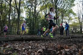 Image result for Lincoln Wellington Ac