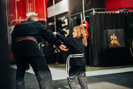 Image result for Budo Warrior Schools
