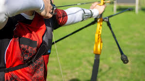 Image result for Lyme Valley Archers