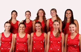 Image result for Ipswich Ladies Netball Club