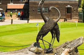 Image result for Cranleigh Golf & Leisure Club