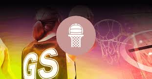 Image result for Blue Jays Netball Club