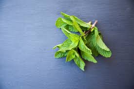 Image result for Pfefferminze