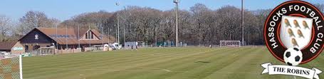 Image result for Hassocks Ladies FC