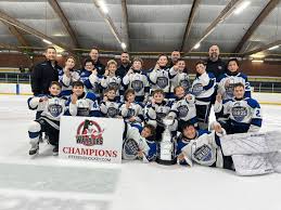 Image result for Perth Junior Ice Hockey Club
