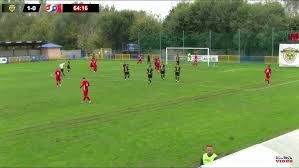 Image result for sényő