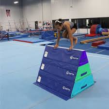Image result for Pyramid Gymnastics Club