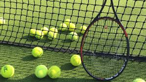 Image result for Waverley Lawn Tennis Squash and Sports Club