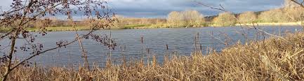 Image result for Rother Valley