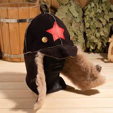 Image result for будёновка