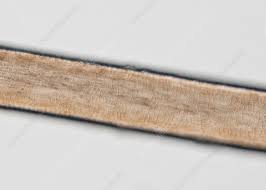 Image result for human hair microscope image