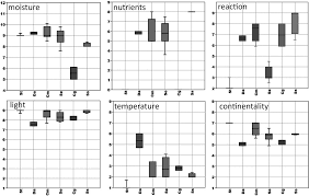 Attēlu rezultāti vaicājumam “Calliergon megalophyllum”