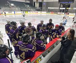 Image result for Harrow Hockey Club