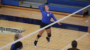 Image result for Spalding Saracens Volleyball Club