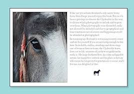 Image result for Blackpool & Fylde Horse Club