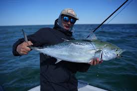 Image result for Prospect Angling Club