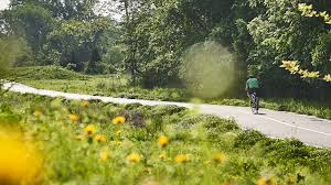 Image result for Greenways Riding Stable Lower Eashing