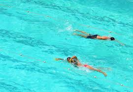 Image result for Harrogate Swimming Club