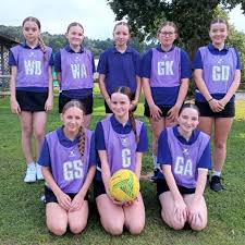Image result for Leapoole Netball Club