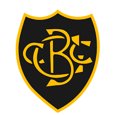 Image result for Gilberdyke Cricket Club