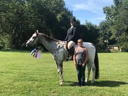 Image result for Lower Farm Stables