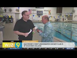 Image result for Tewkesbury and Cheltenham Underwater Hockey Club