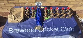 Image result for Brewood Cricket Club