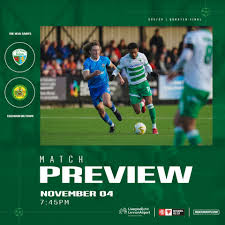 Image result for Caernarfon Football Club