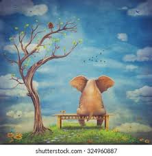 Image result for sad elephant