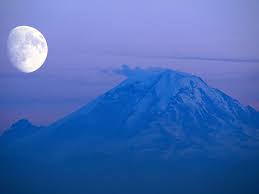 Image result for love windows xp wallpaper