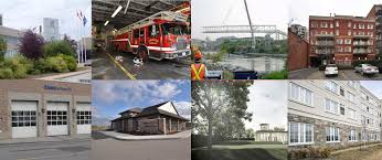 Image result for Speedwell Ttc