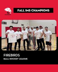 Image result for York University Street Hockey Club