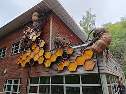 Image result for Cwmcarn United Rfc