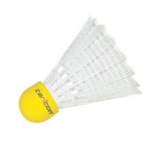 Image result for Carlton Badminton Club