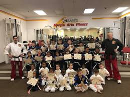 Image result for Windsor Karate Club