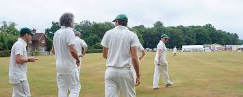 Image result for Lynchmere Cricket Club