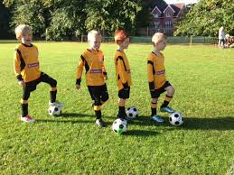 Image result for Ashtead Football Club