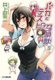 「吉井玲 バカとテストと召喚獣」の画像検索結果