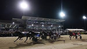 Image result for Thoroughbreds Netball Clubs