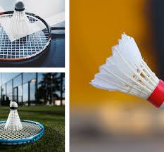 Image result for Kirkham Charter Badminton Club